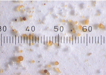 WHYFLUID_NewOilSamples\-1\-23\-20\-14@2x