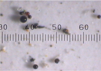 WHYFLUID_NewOilSamples\-2\-22\-19\-14@2x