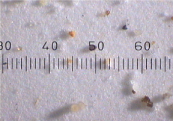 WHYFLUID_NewOilSamples\-3\-20\-16\-12@2x