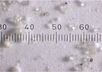 WHYFLUID_NewOilSamples\-5\-20\-18\-15@2x